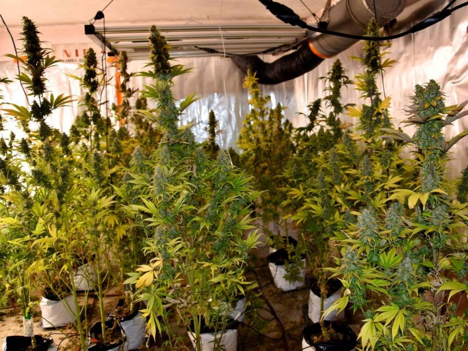 260-23477_20251212-083915_1